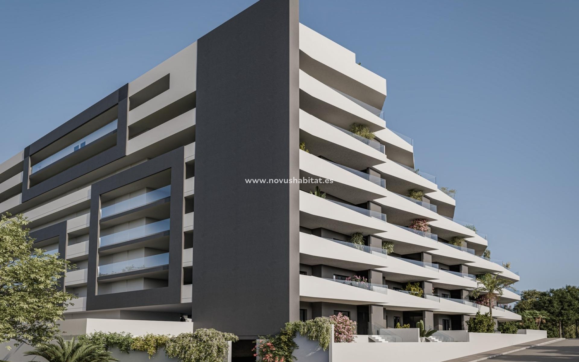 Neue Gebäude - Wohnung - San Miguel de Salinas