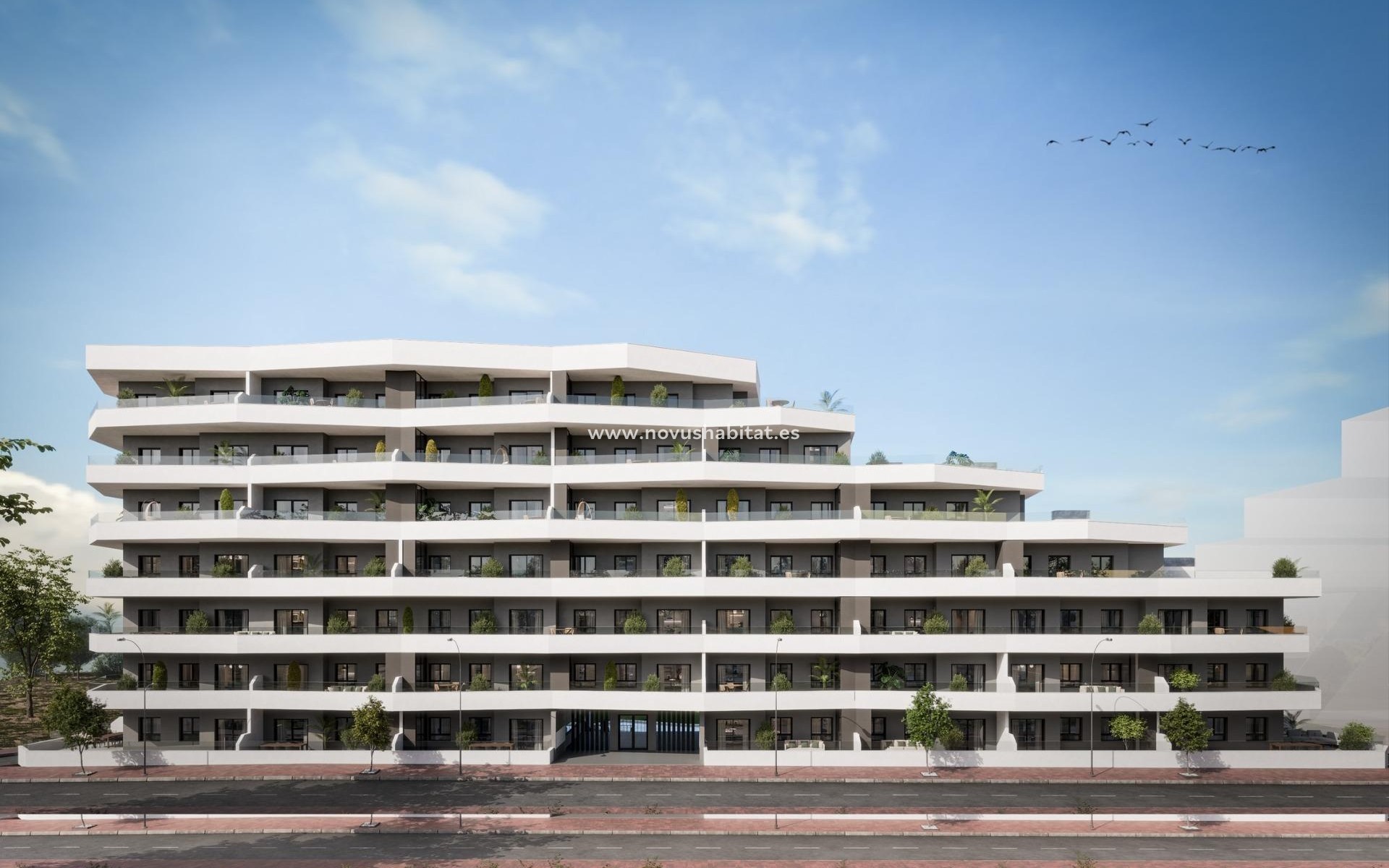 Neue Gebäude - Wohnung - San Miguel de Salinas