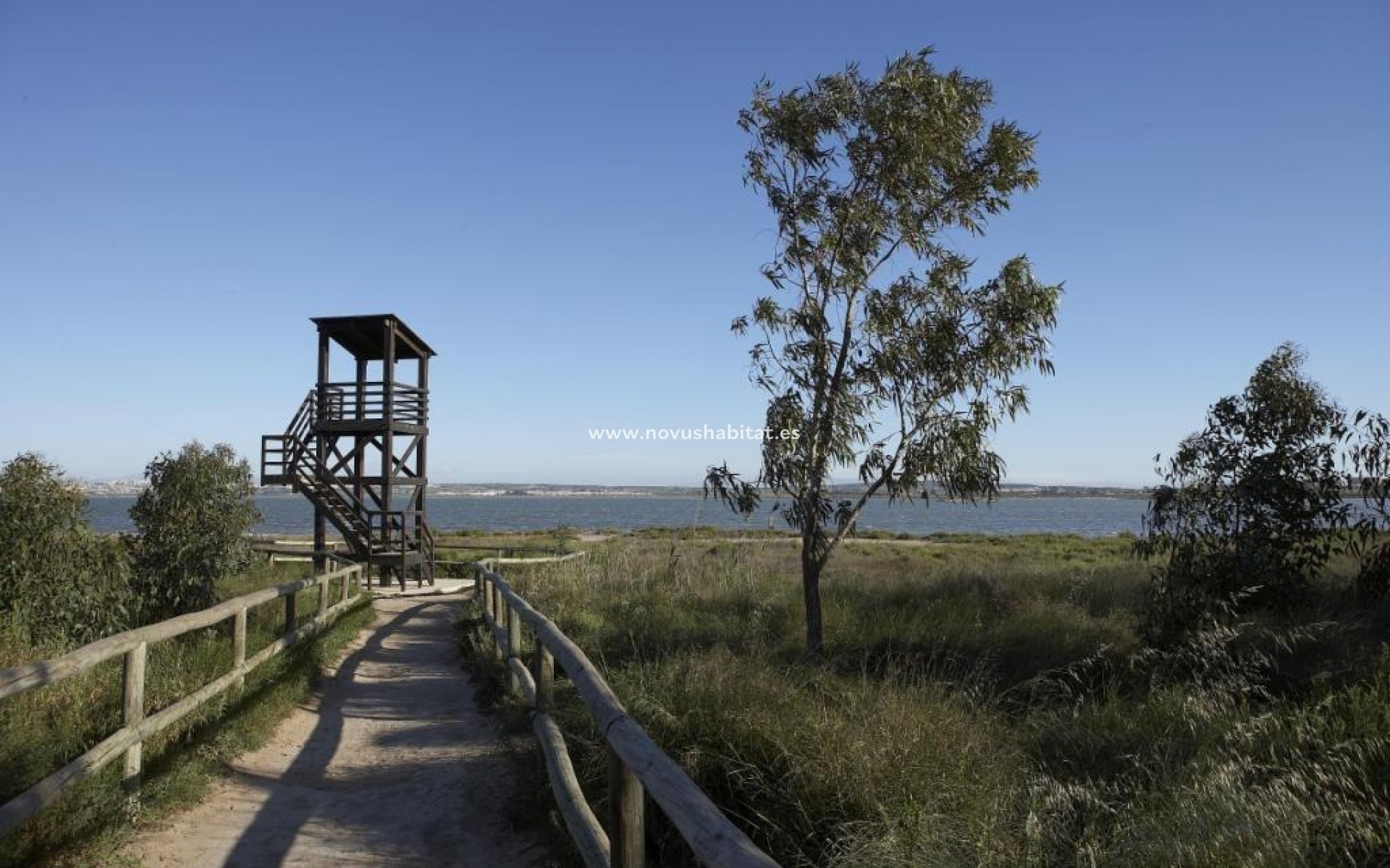 Neue Gebäude - Wohnung - Torrevieja - Aguas Nuevas