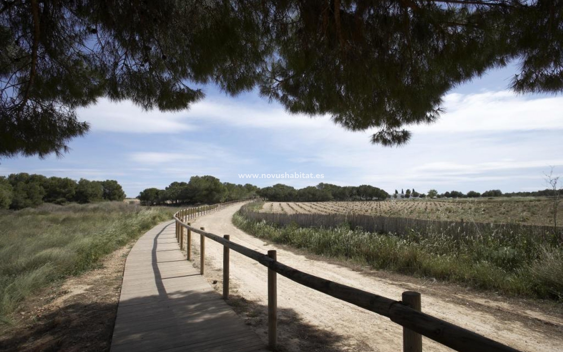 Neue Gebäude - Wohnung - Torrevieja - Aguas Nuevas