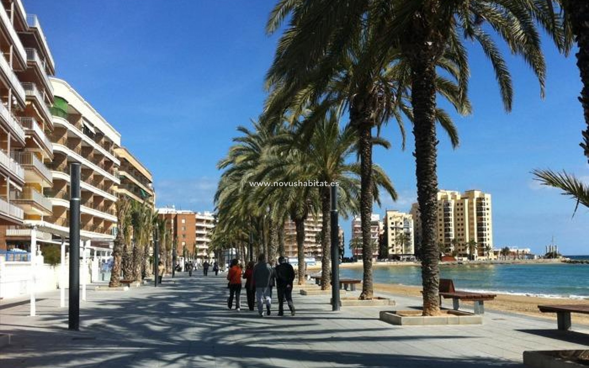 Neue Gebäude - Wohnung - Torrevieja - Playa del Cura