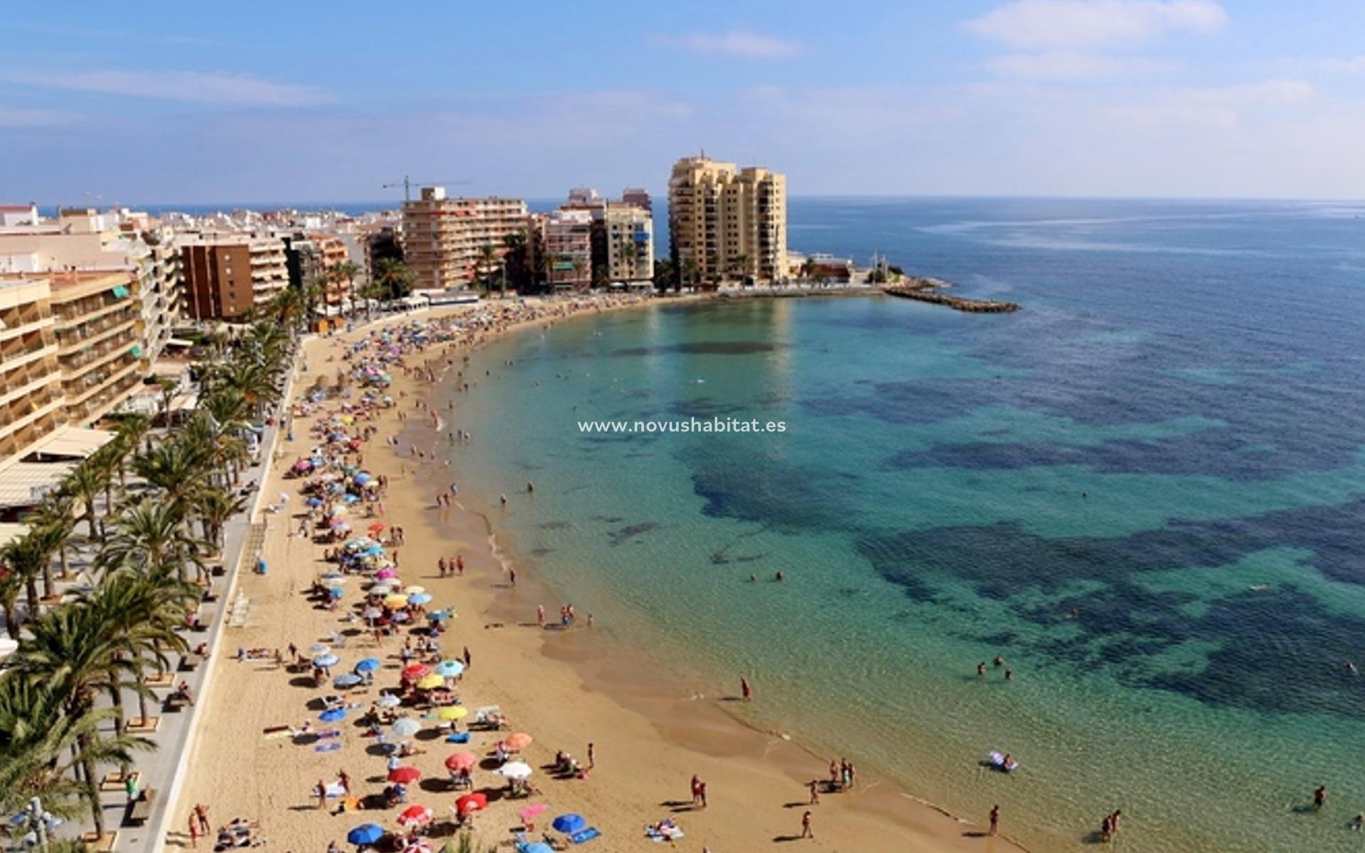 Neue Gebäude - Wohnung - Torrevieja - Playa del Cura