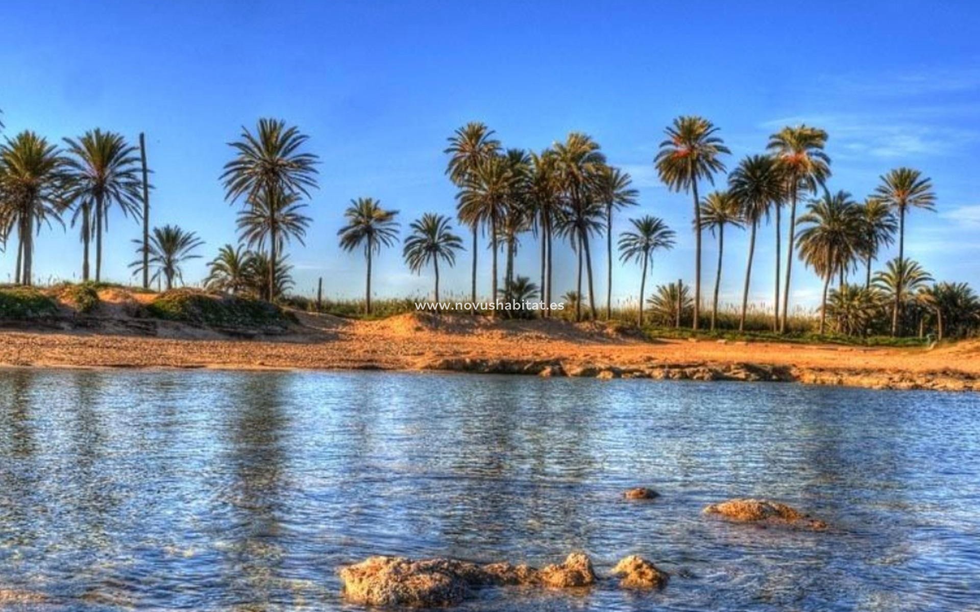 Neue Gebäude - Wohnung - Torrevieja - Playa del Cura