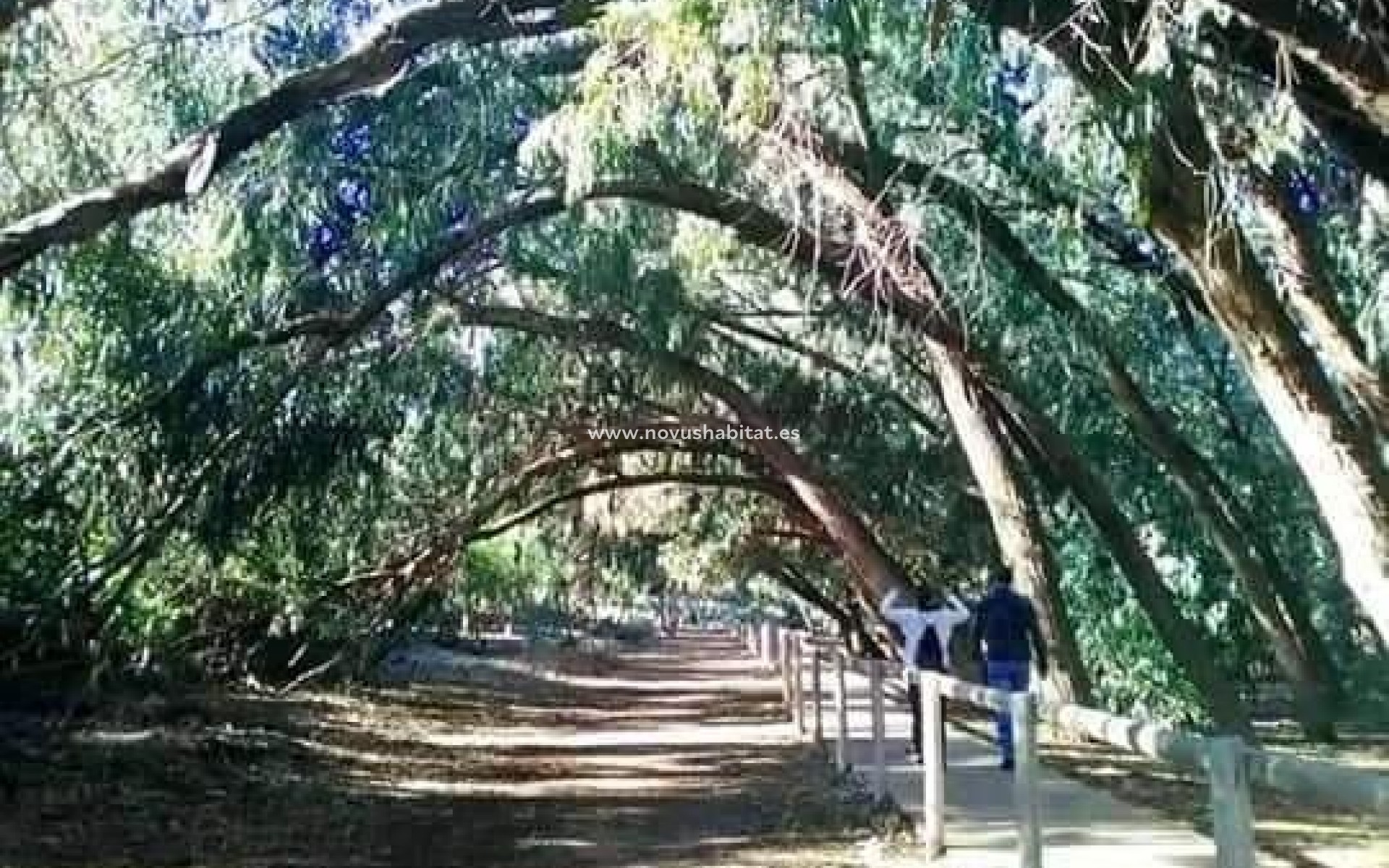 Neue Gebäude - Wohnung - Torrevieja
