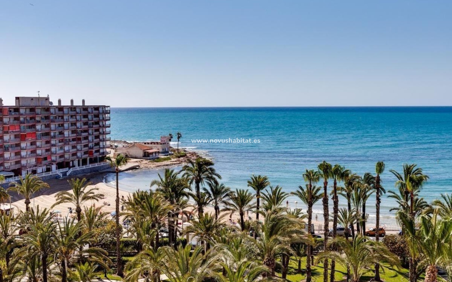 New Build - Apartament - Torrevieja