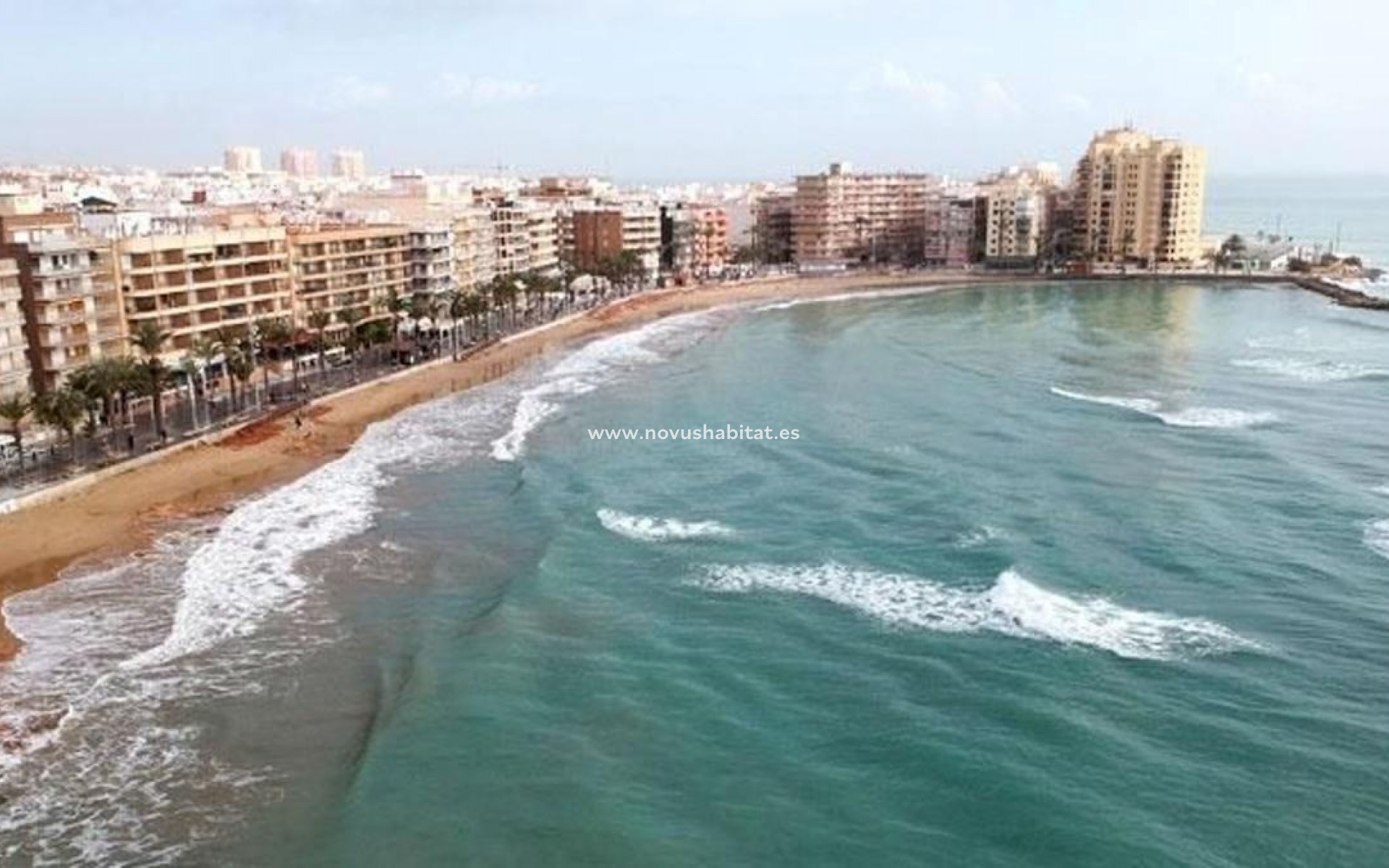 New Build - Apartament - Torrevieja