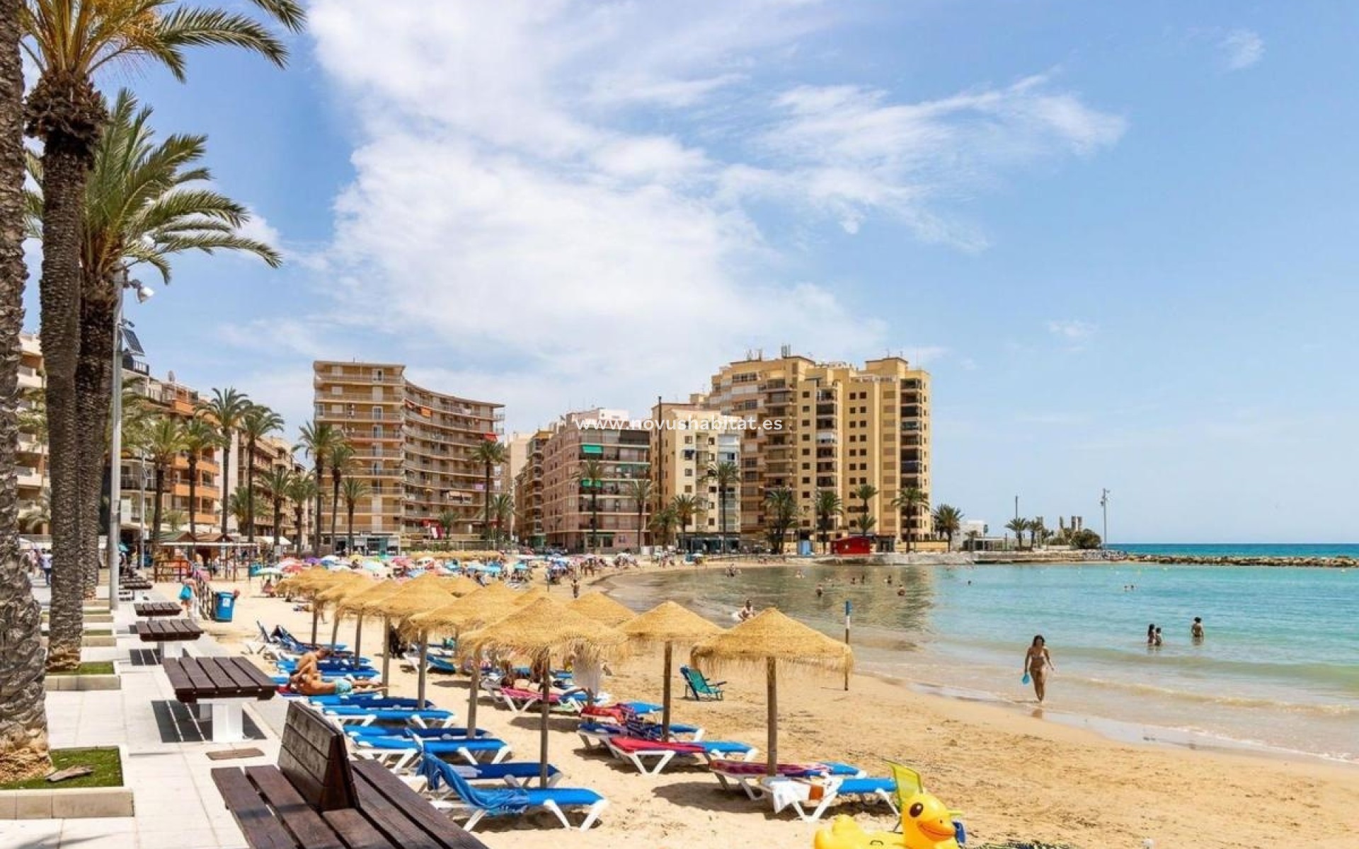 New Build - Apartament - Torrevieja