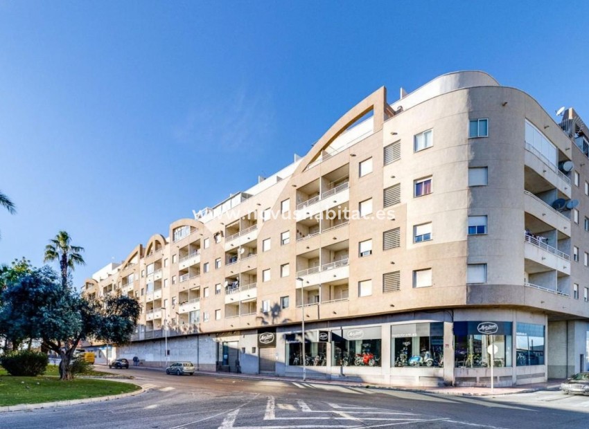 New Build - Apartament - Torrevieja