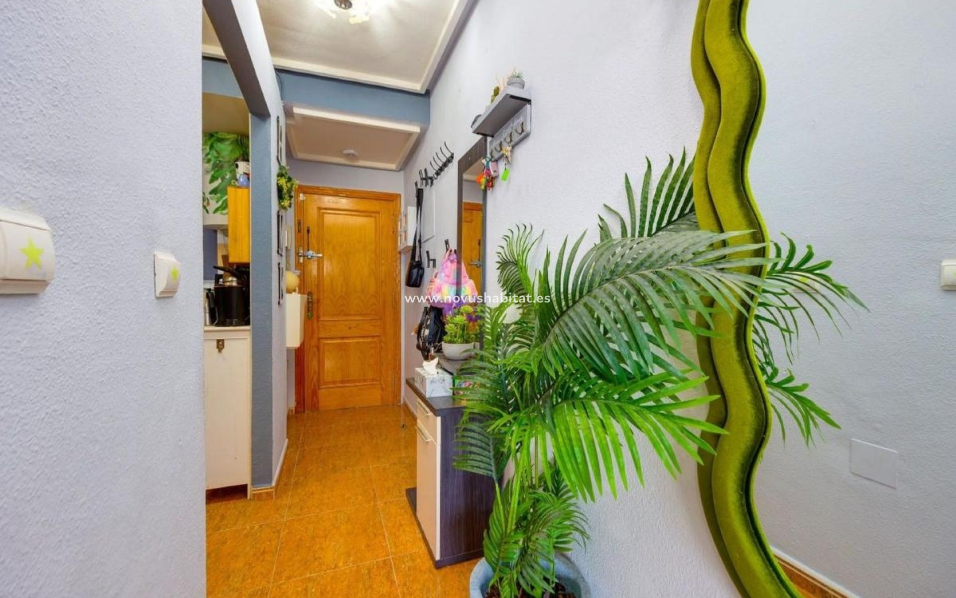 New Build - Apartament - Torrevieja