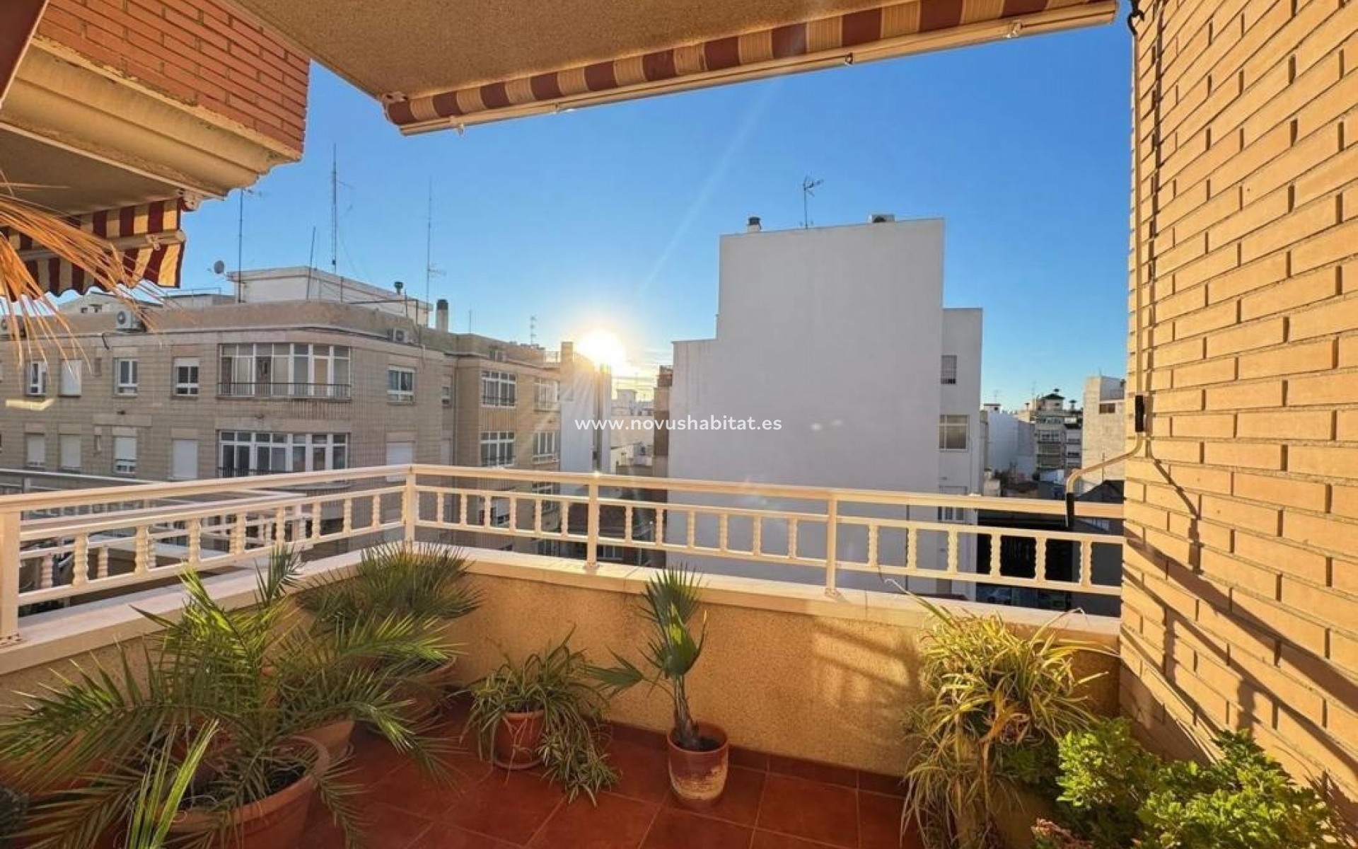 New Build - Apartament - Torrevieja