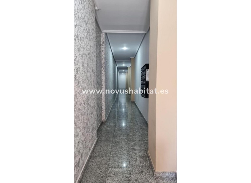 New Build - Apartament - Torrevieja