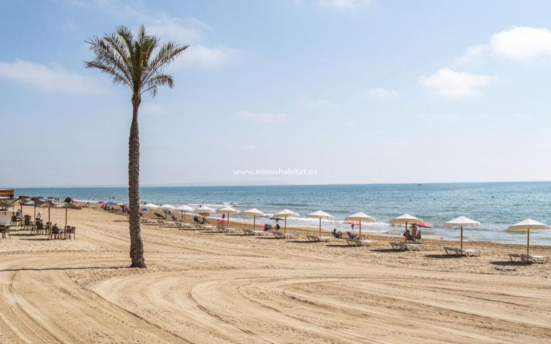 New Build - Apartment - Guardamar del Segura