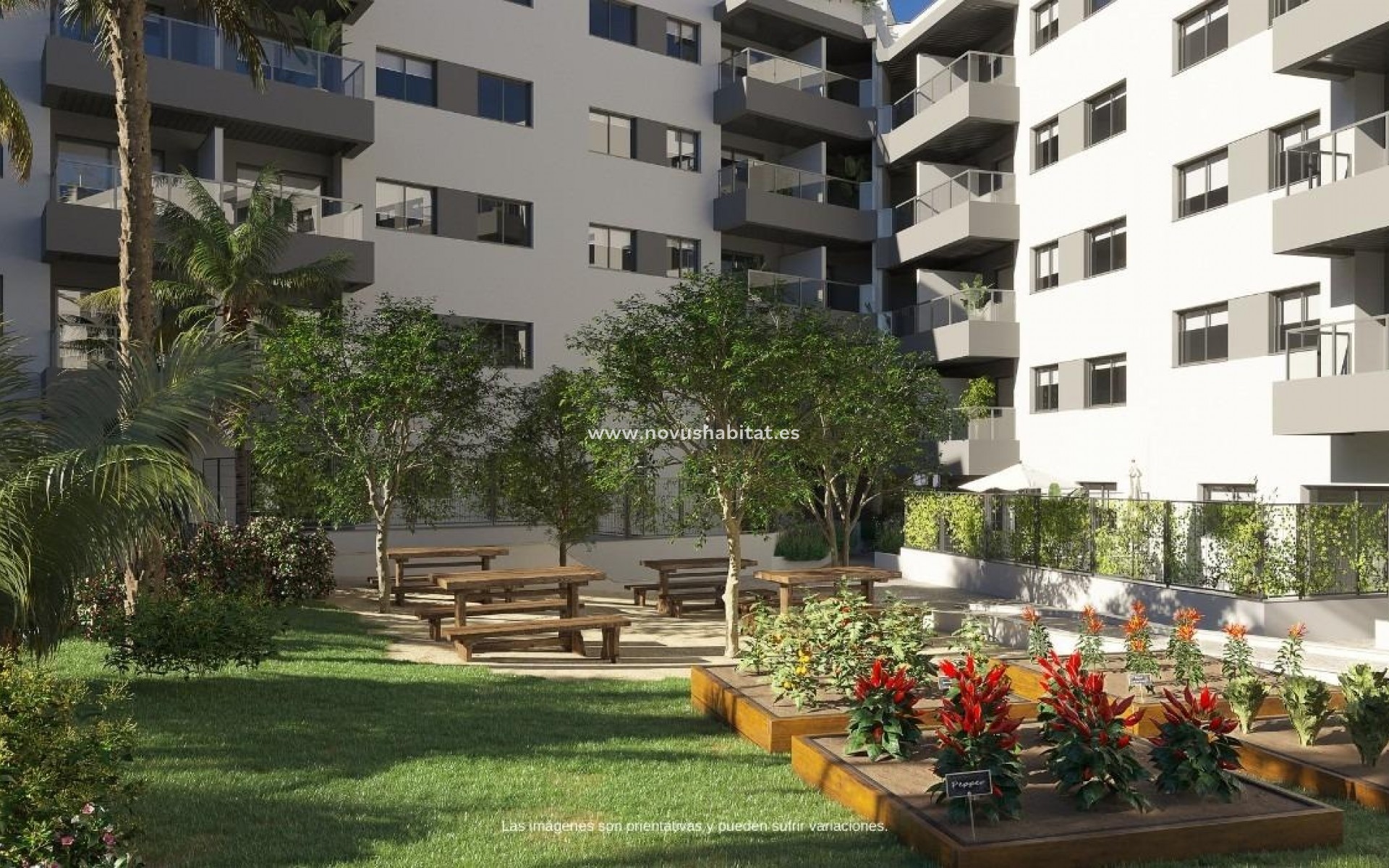 New Build - Apartment - Mijas