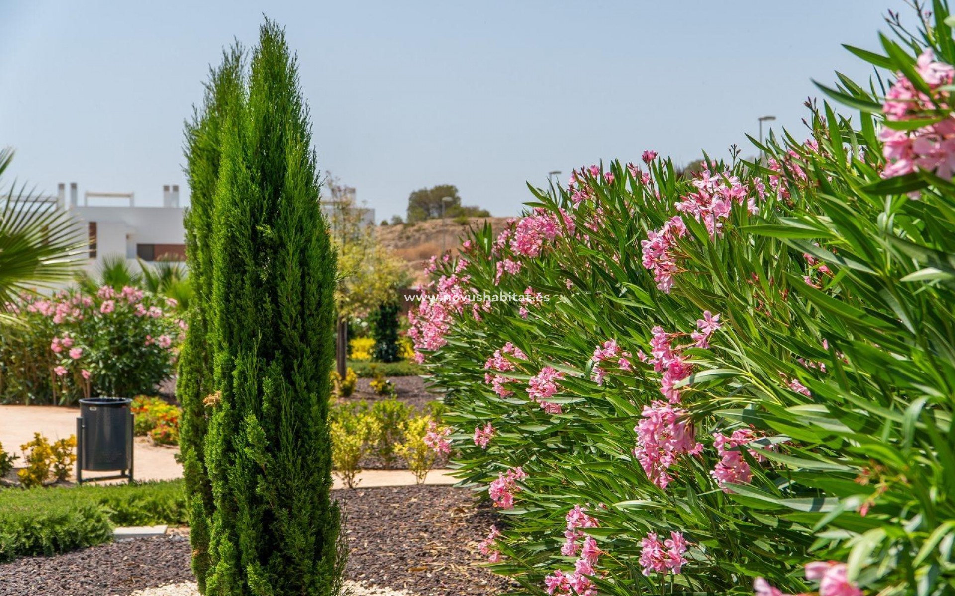 New Build - Apartment - Orihuela