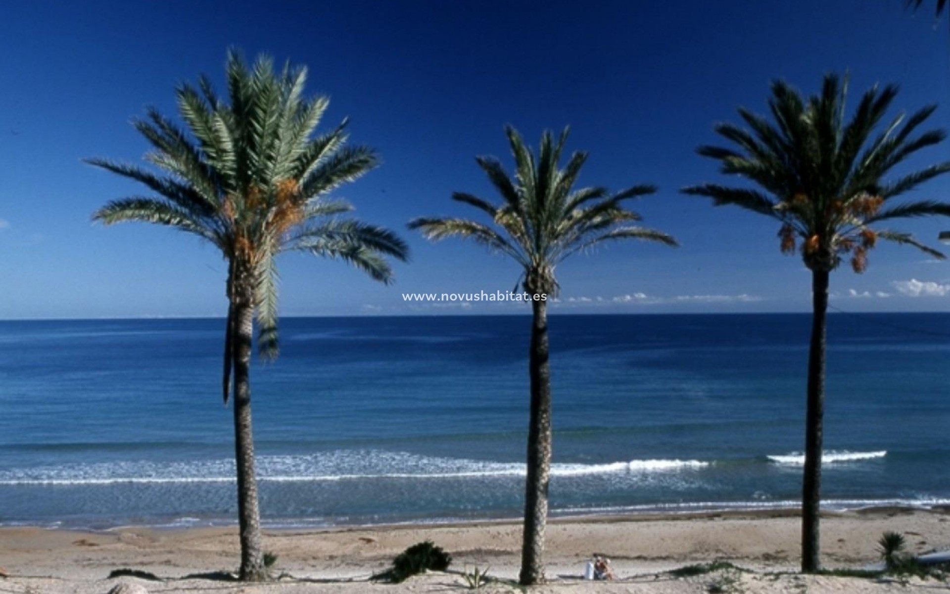 New Build - Apartment - Pilar de la Horadada