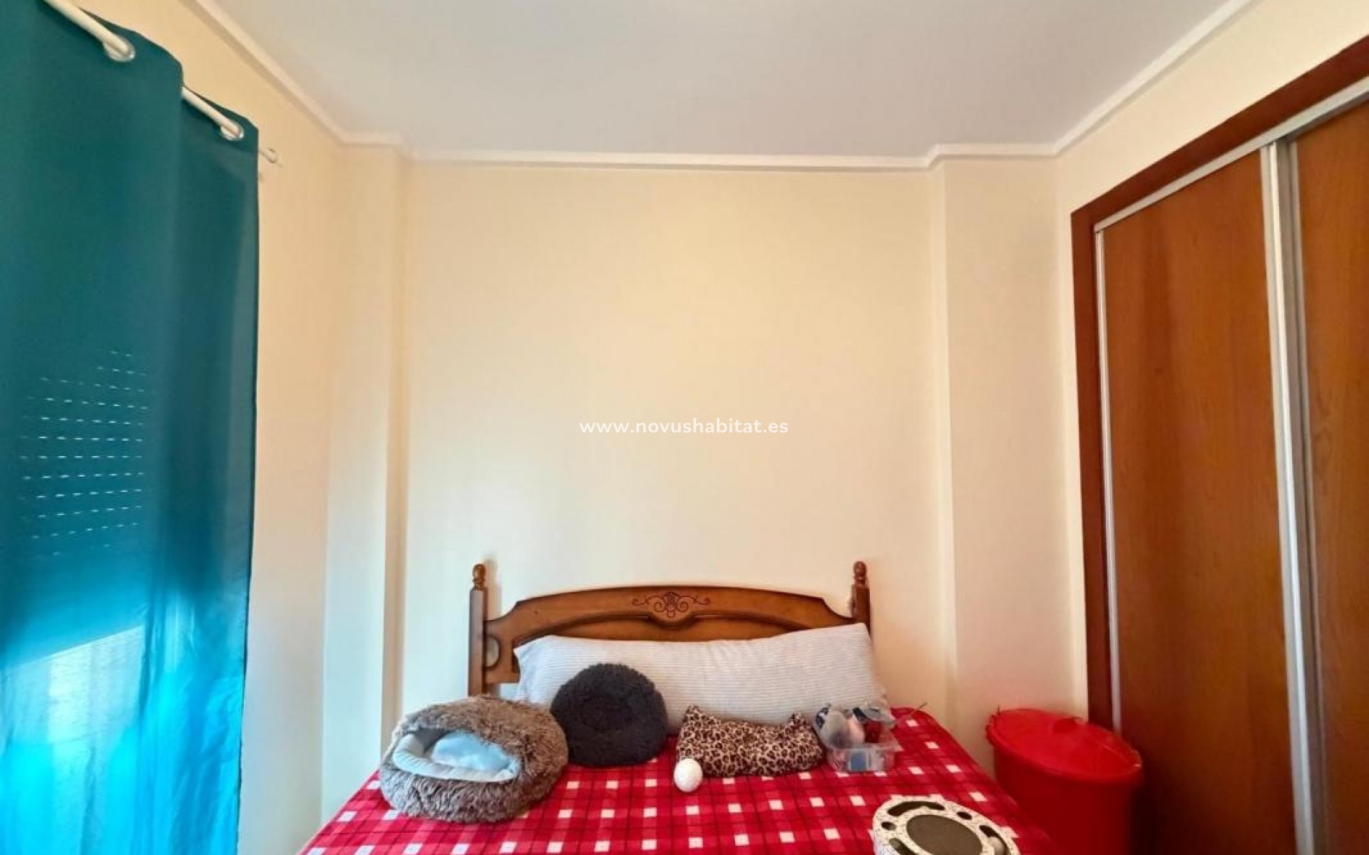 New Build - Apartment - Rojales / Ciudad Quesada - Rojales