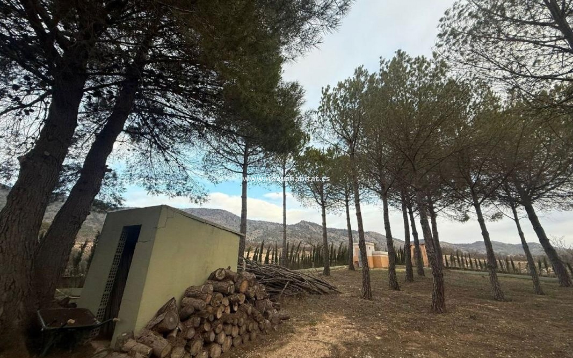 New Build - Detached chalet - Torrevieja - Salinas