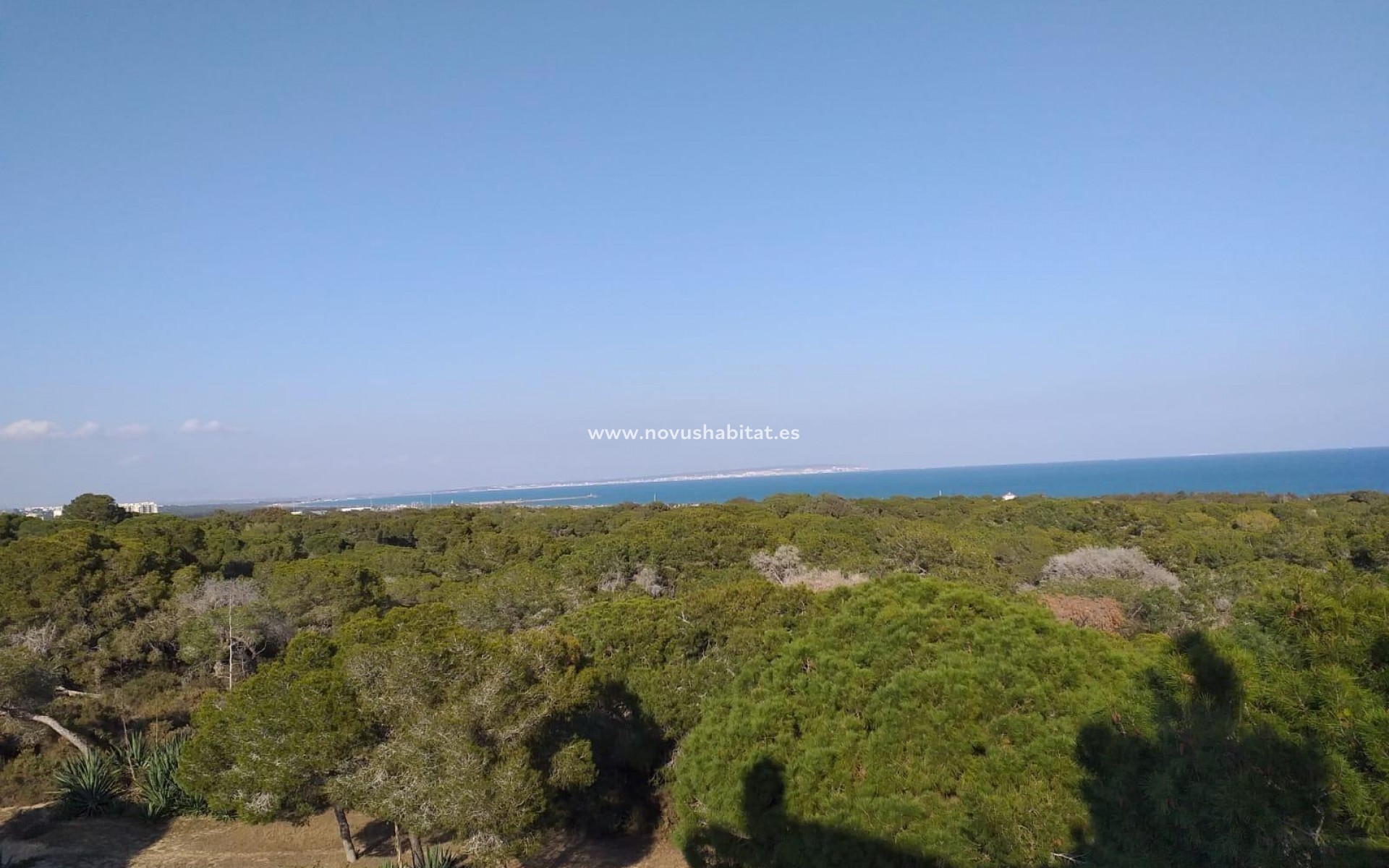 New Build - Ground floor apartment - Guardamar del Segura