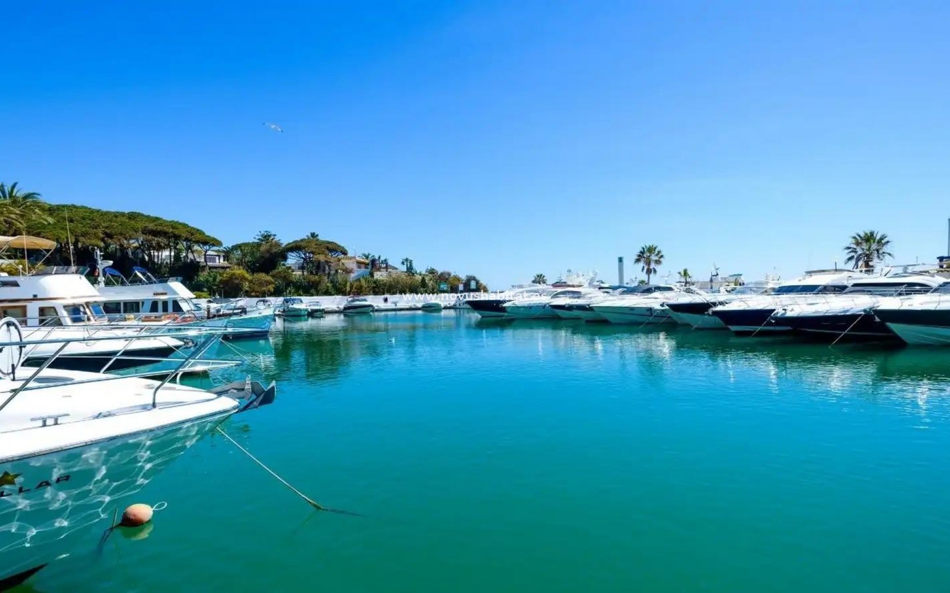 New Build - Ground floor apartment - Marbella