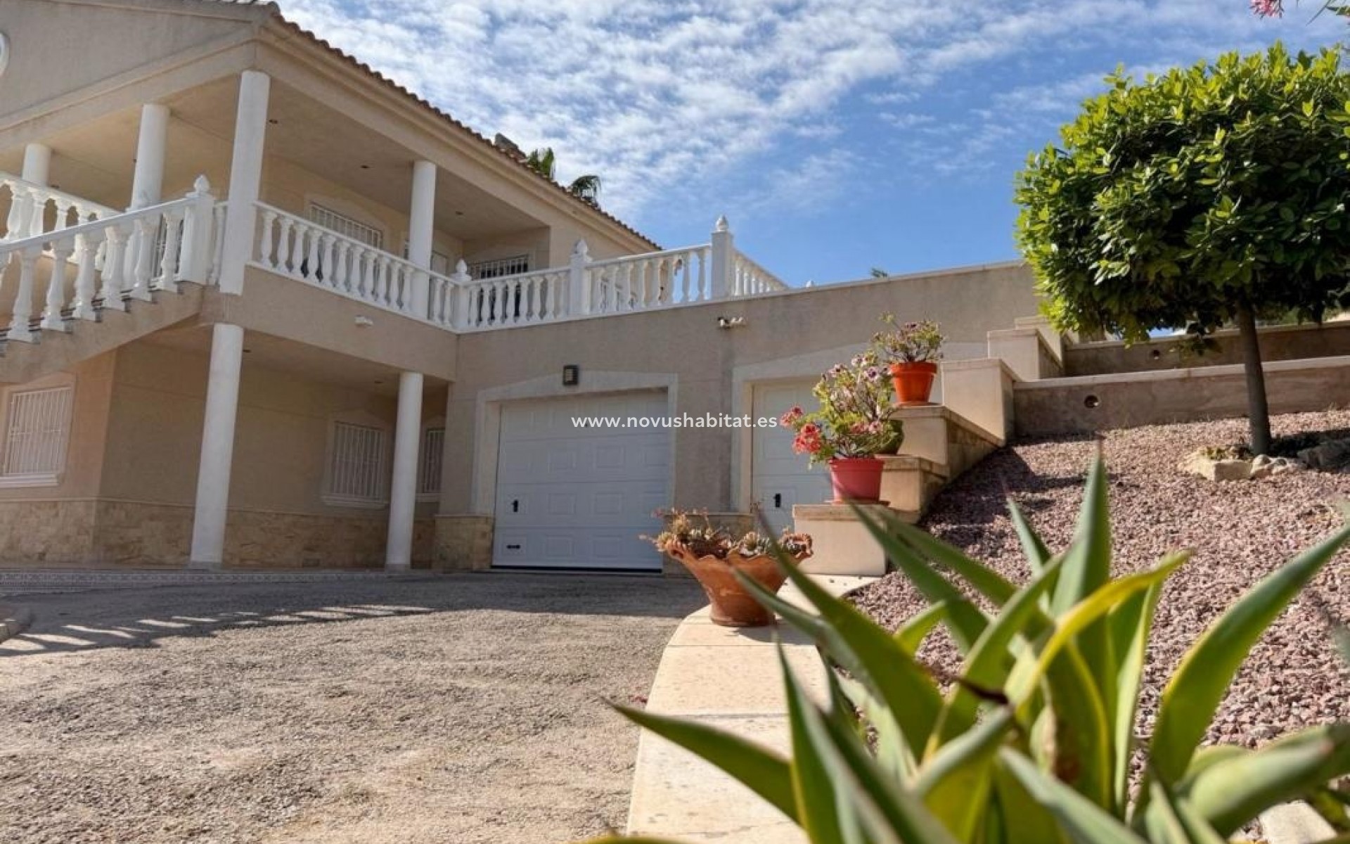 New Build - Houses - Algorfa