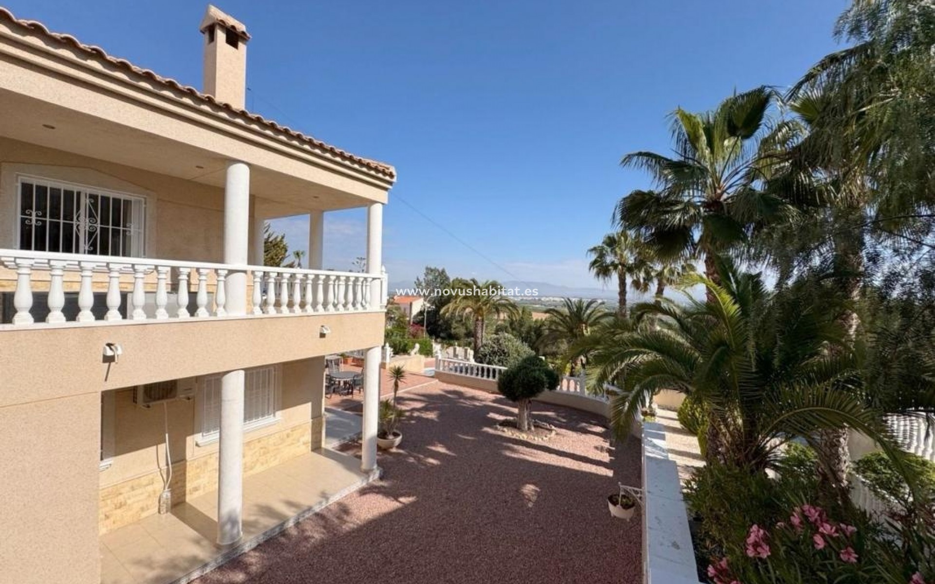 New Build - Houses - Algorfa
