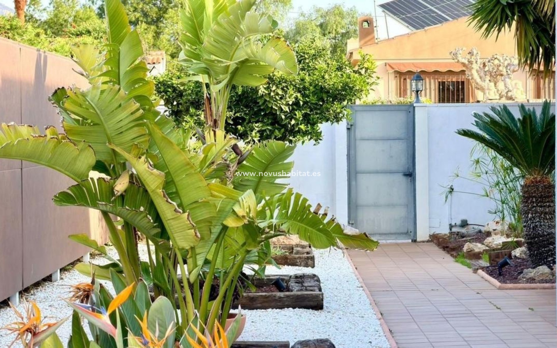 New Build - Houses - El Campello
