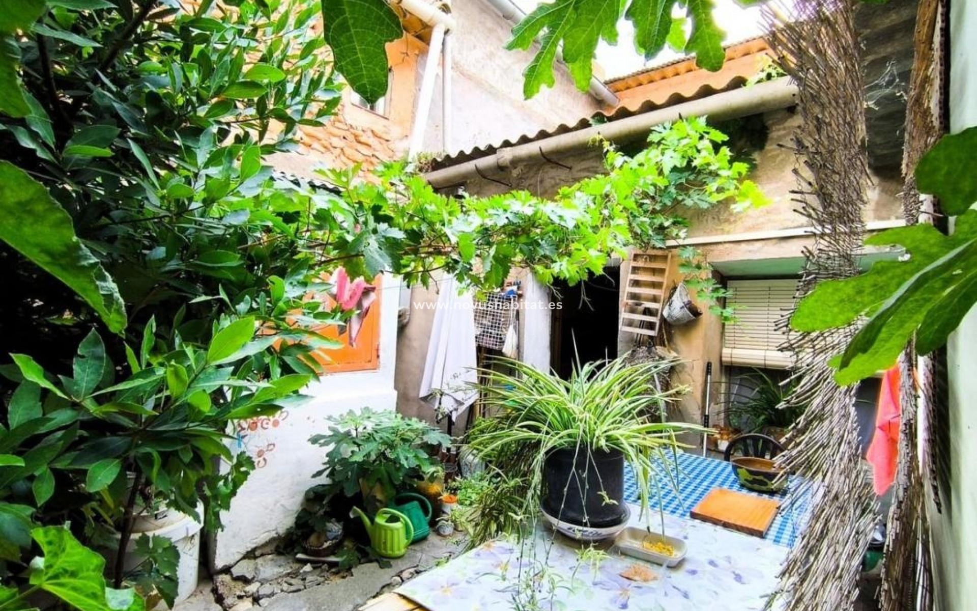 New Build - Houses - Monóvar