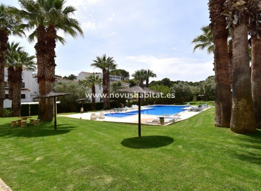 New Build - Penthouses - Orihuela