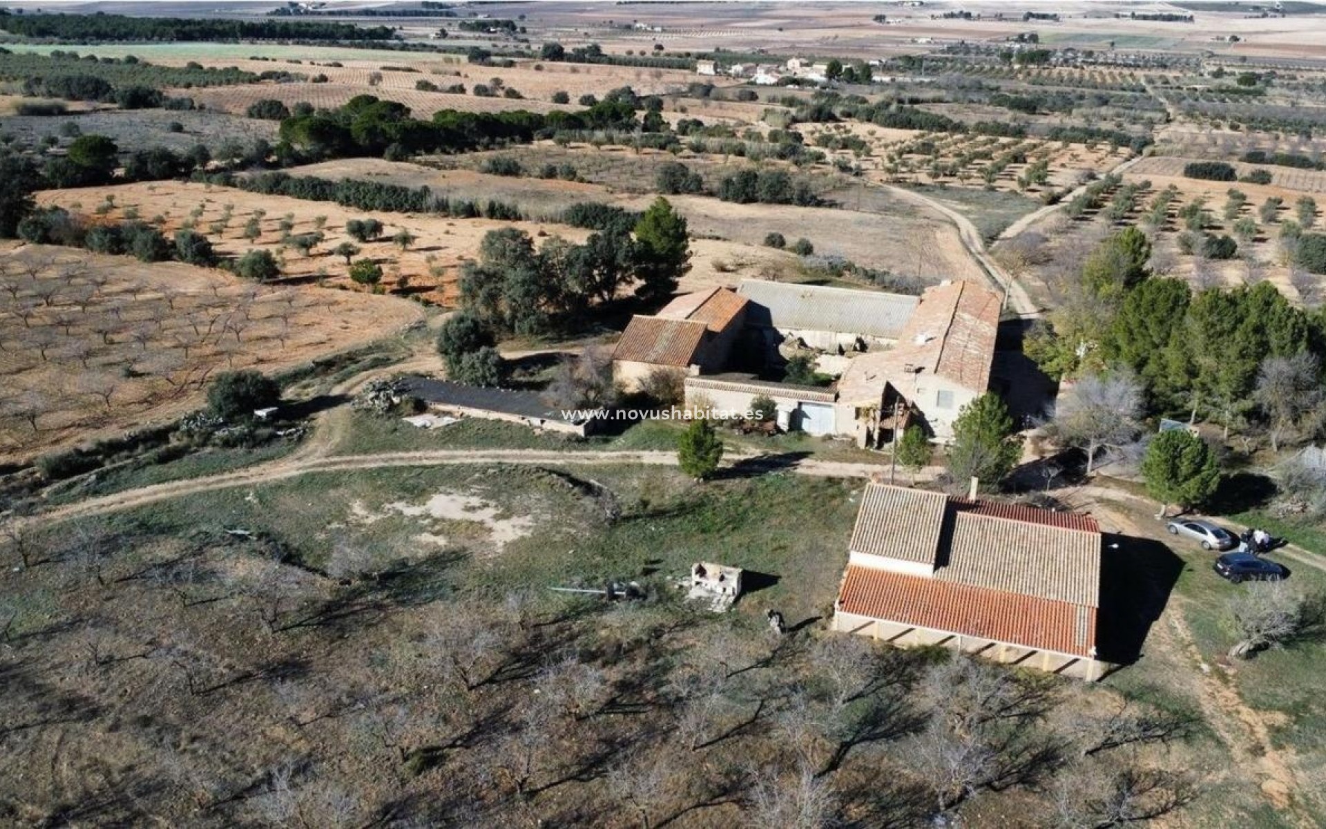 New Build - Rustic estate - Villena