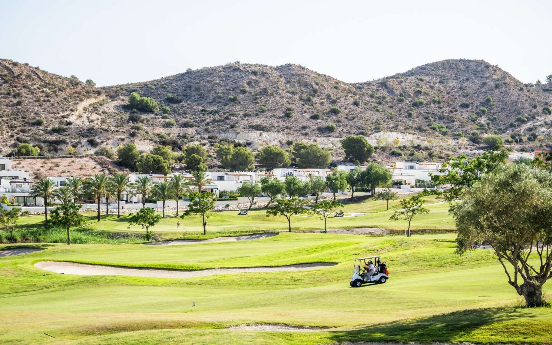 New Build - Semi-detached - Monforte del Cid - Font del Llop