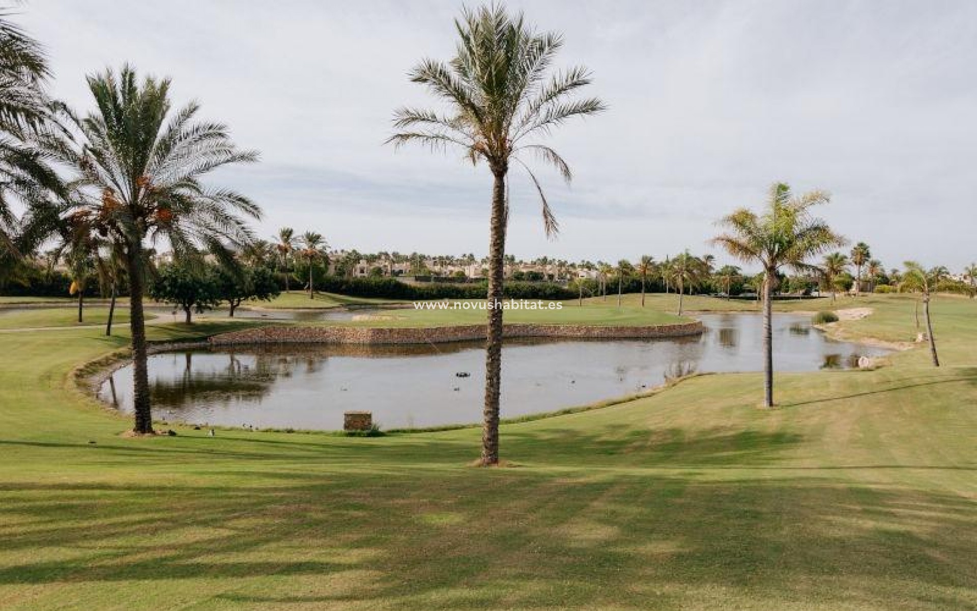 New Build - Semidetached - San Javier