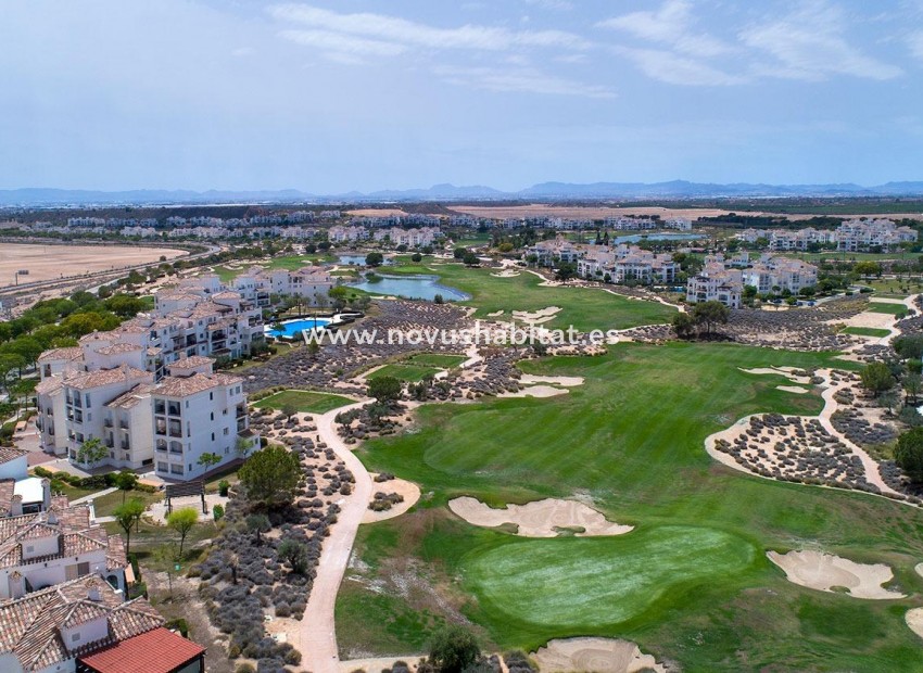 New Build - Semidetached - Sucina