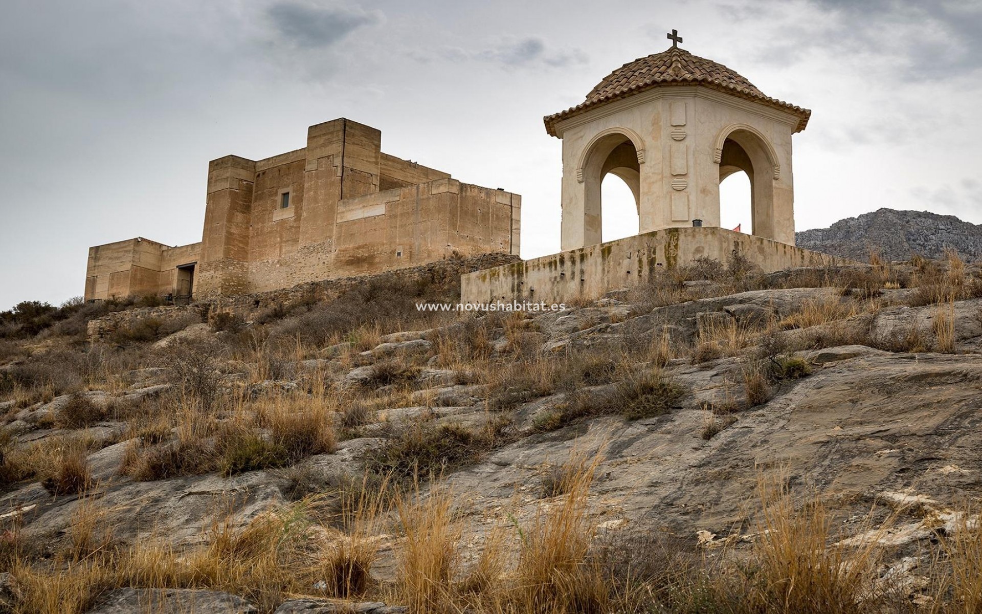 New Build - Townhouse - Cox
