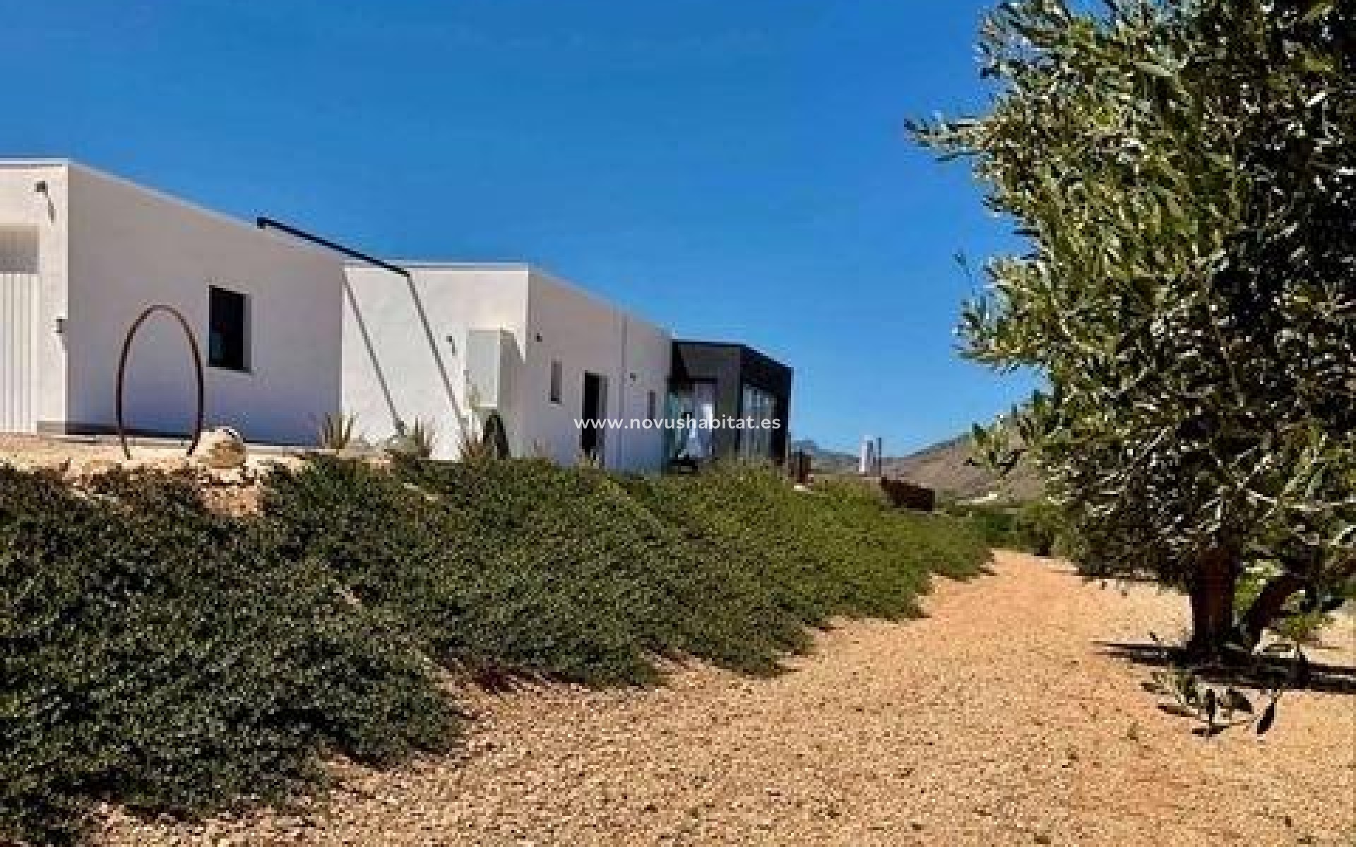 New Build - Villa - Abanilla - Cañada de la Leña