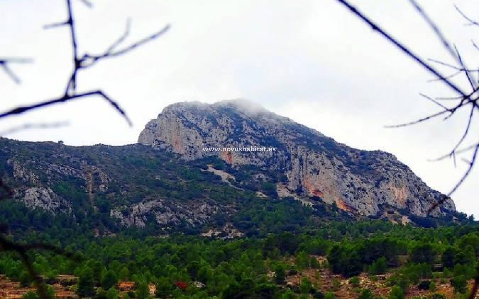 New Build - Villa - La Romana