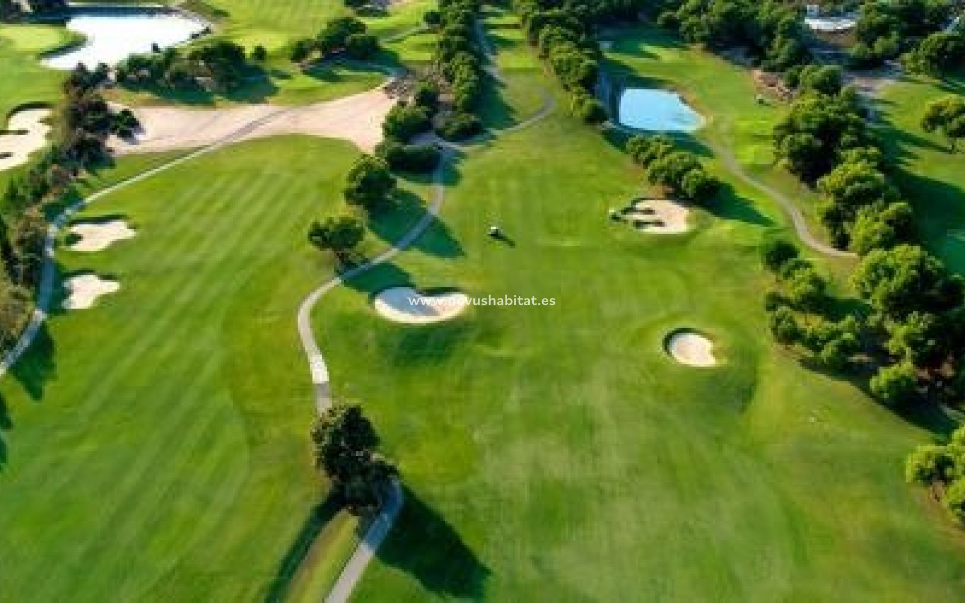 New Build - Villa - Pilar de la Horadada