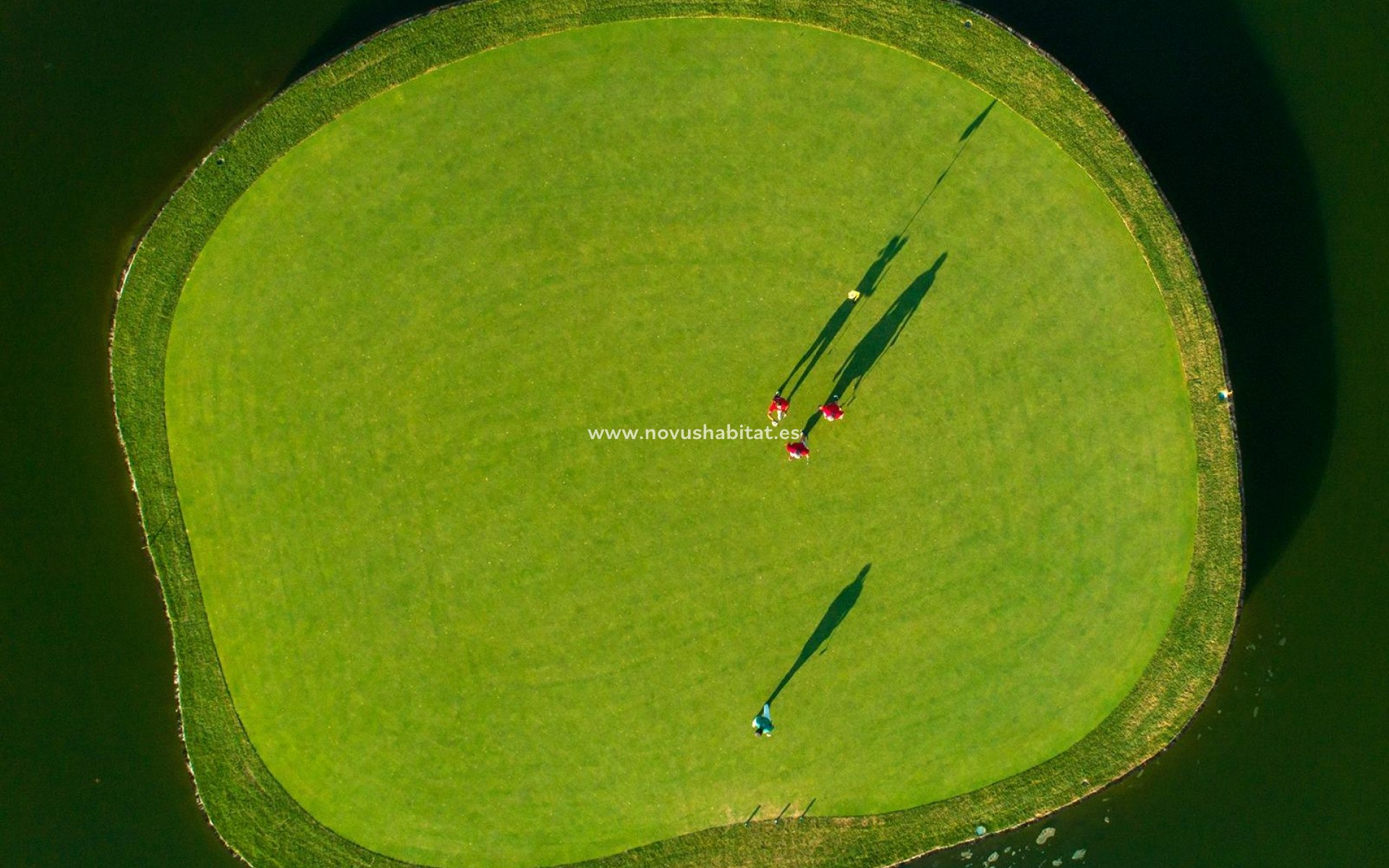 New Build - Villa - Pilar de la Horadada