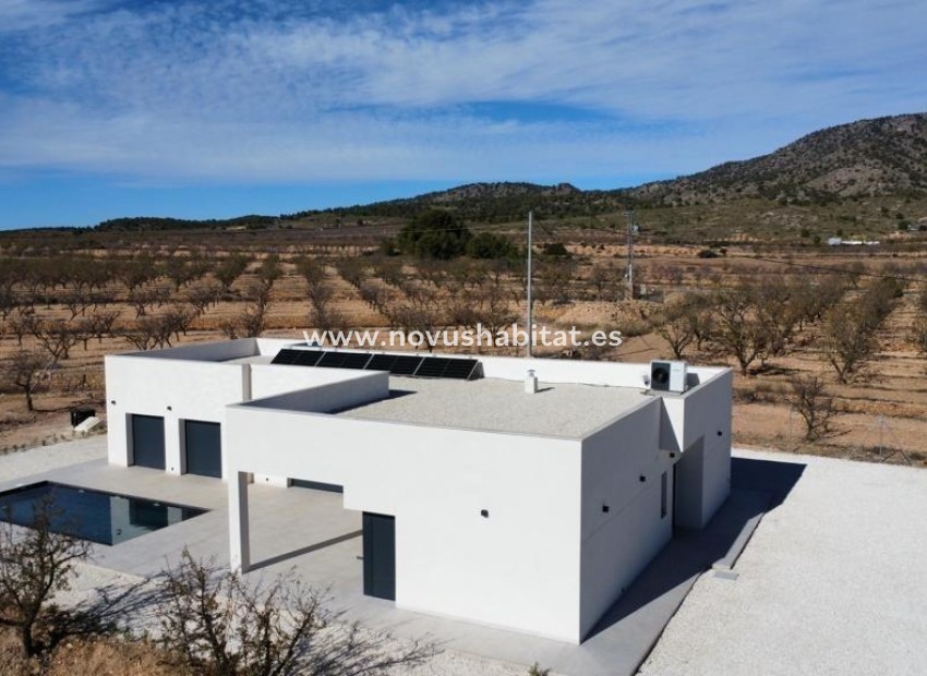 New Build - Villa - Pinoso - Campo