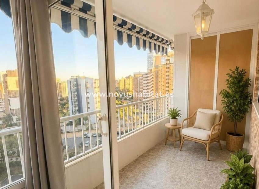 Nieuwbouw - Apartament - Alicante