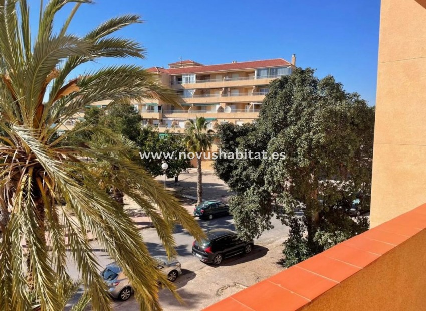 Nieuwbouw - Apartament - Guardamar del Segura