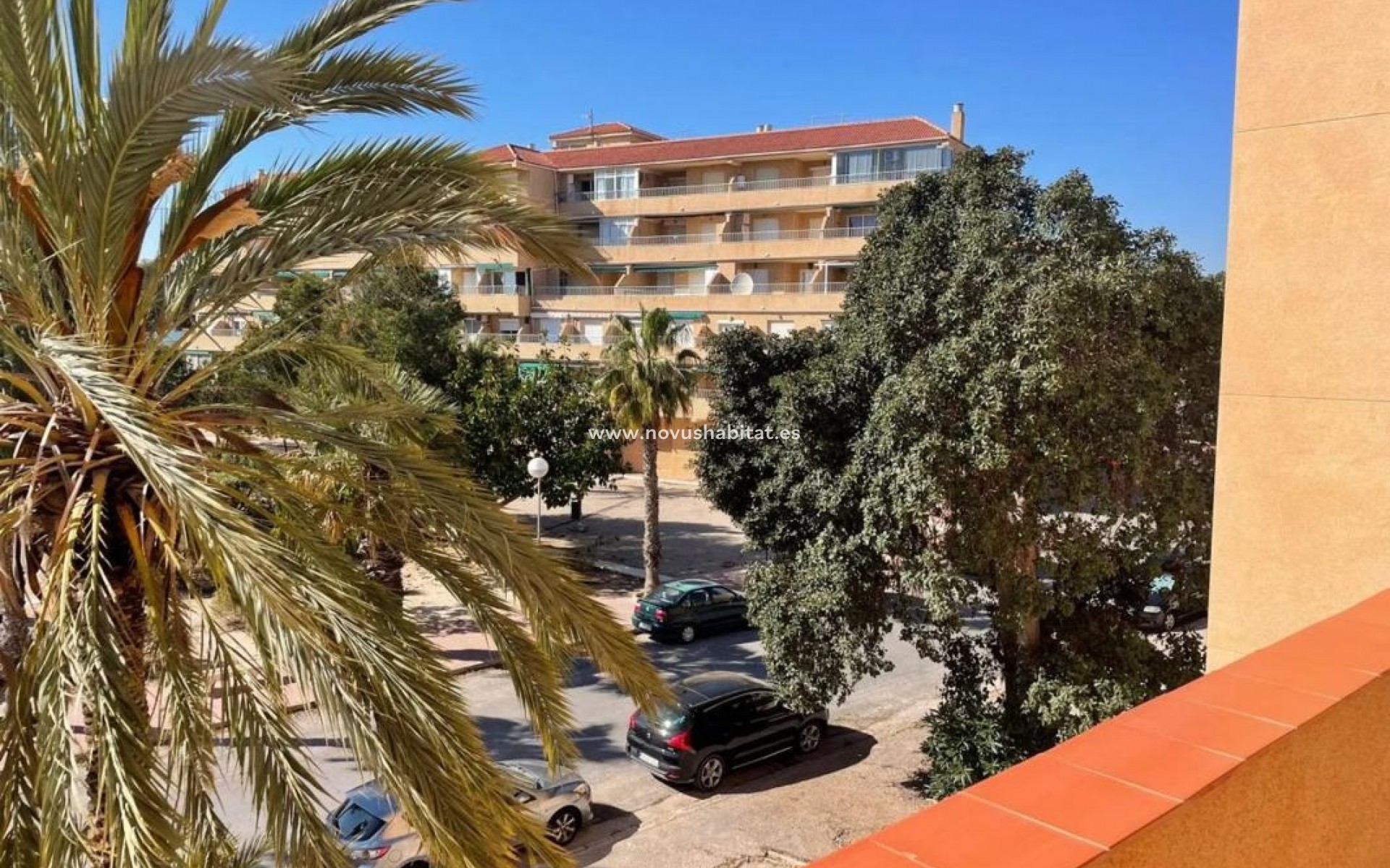 Nieuwbouw - Apartament - Guardamar del Segura