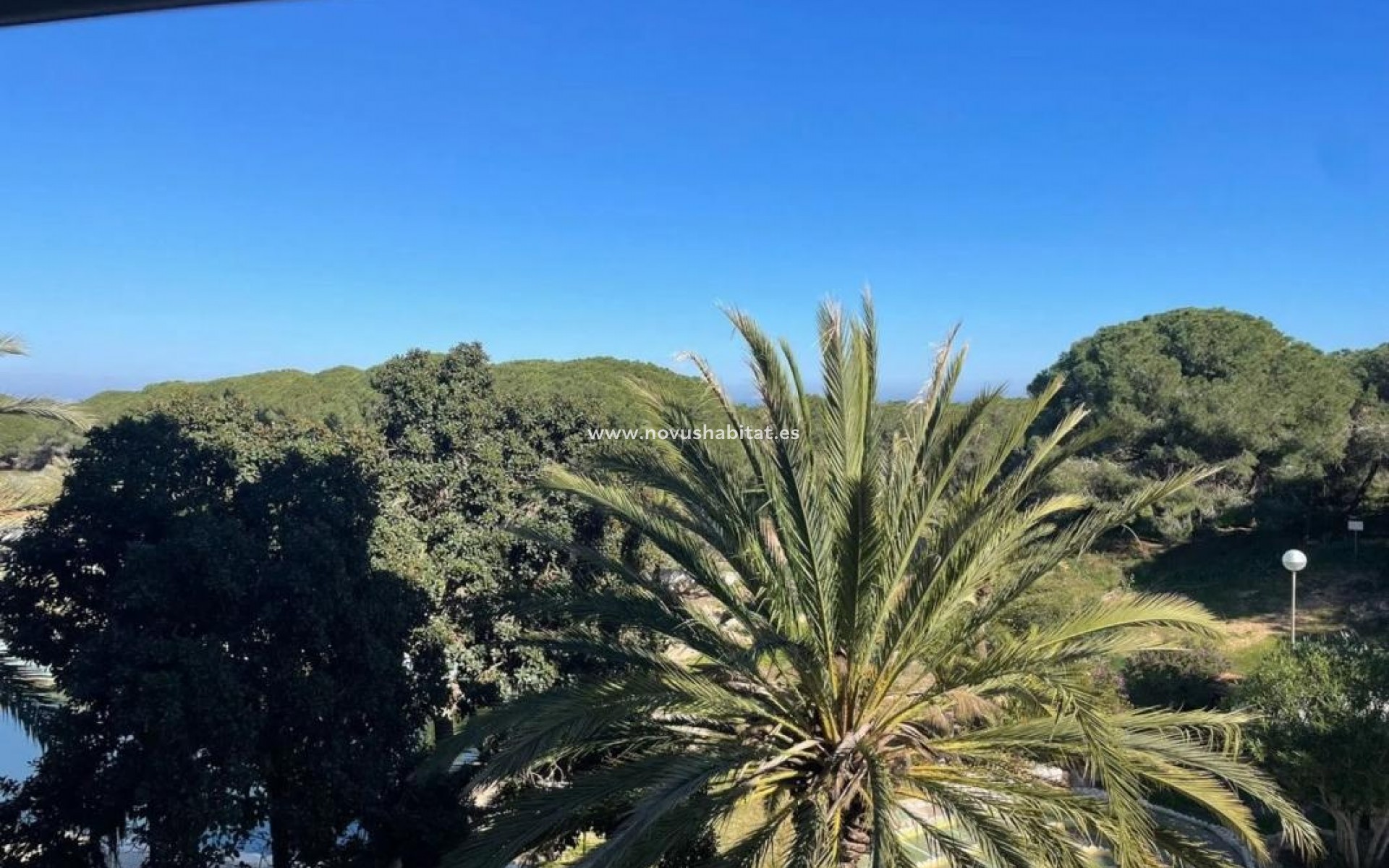 Nieuwbouw - Apartament - Guardamar del Segura
