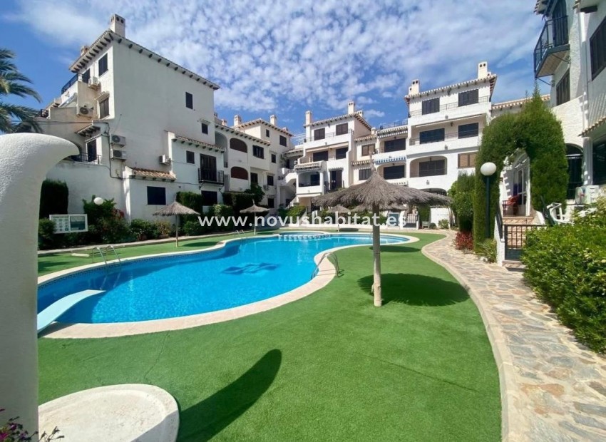 Nieuwbouw - Apartament - Orihuela