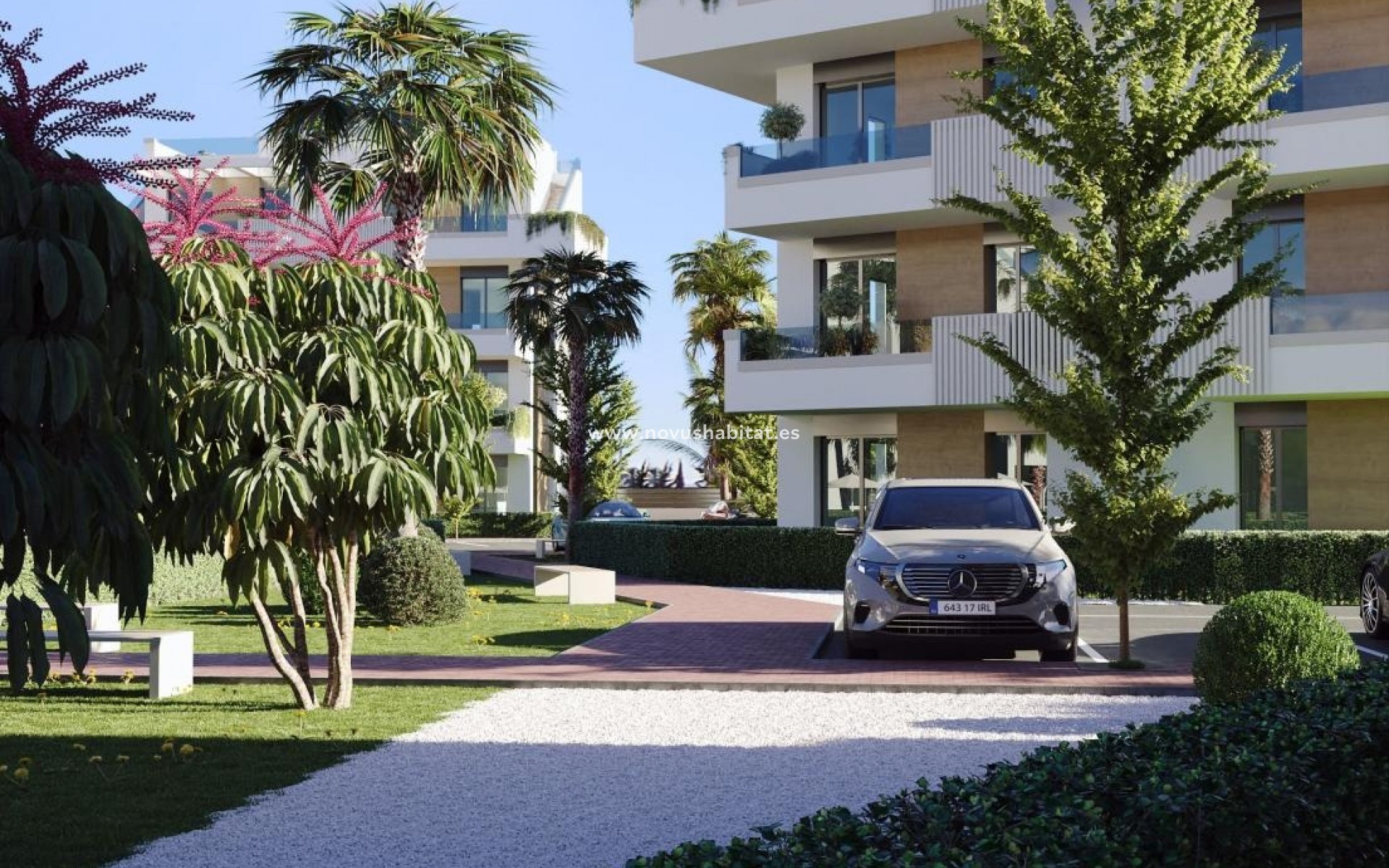 Nieuwbouw - Apartament - Torre Pacheco - Torre-Pacheco