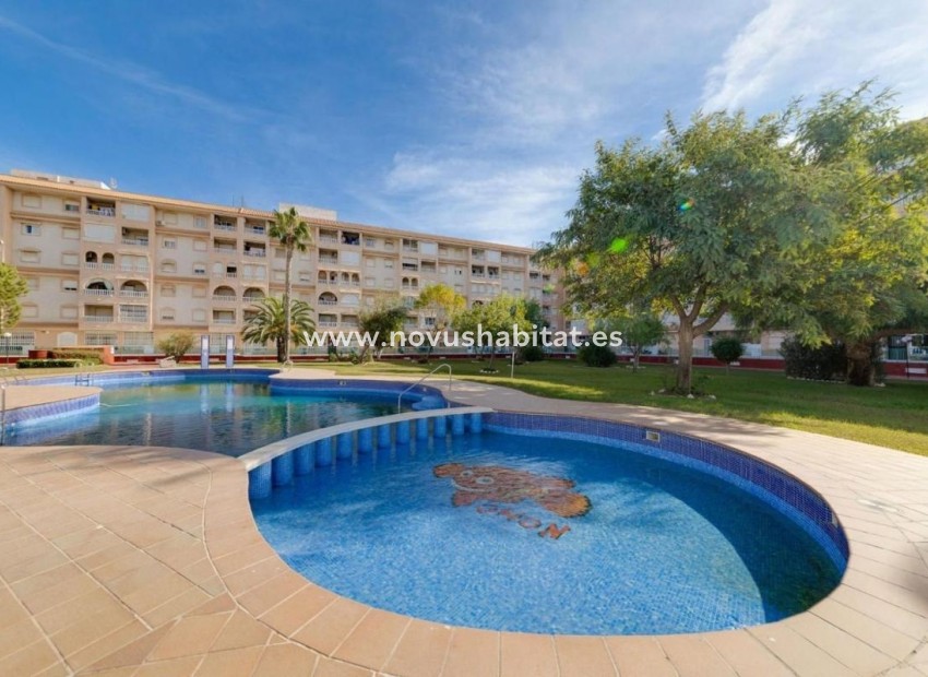 Nieuwbouw - Apartament - Torrevieja