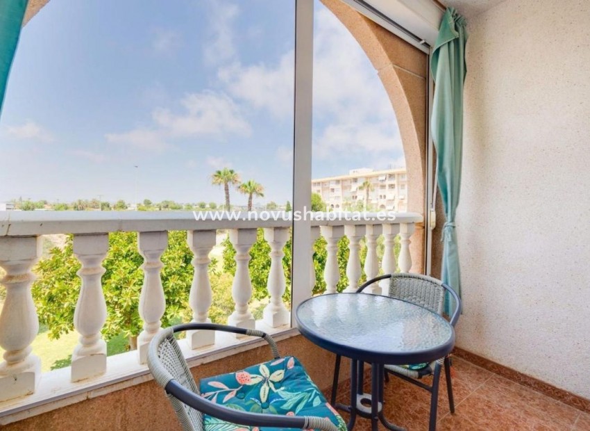Nieuwbouw - Apartament - Torrevieja