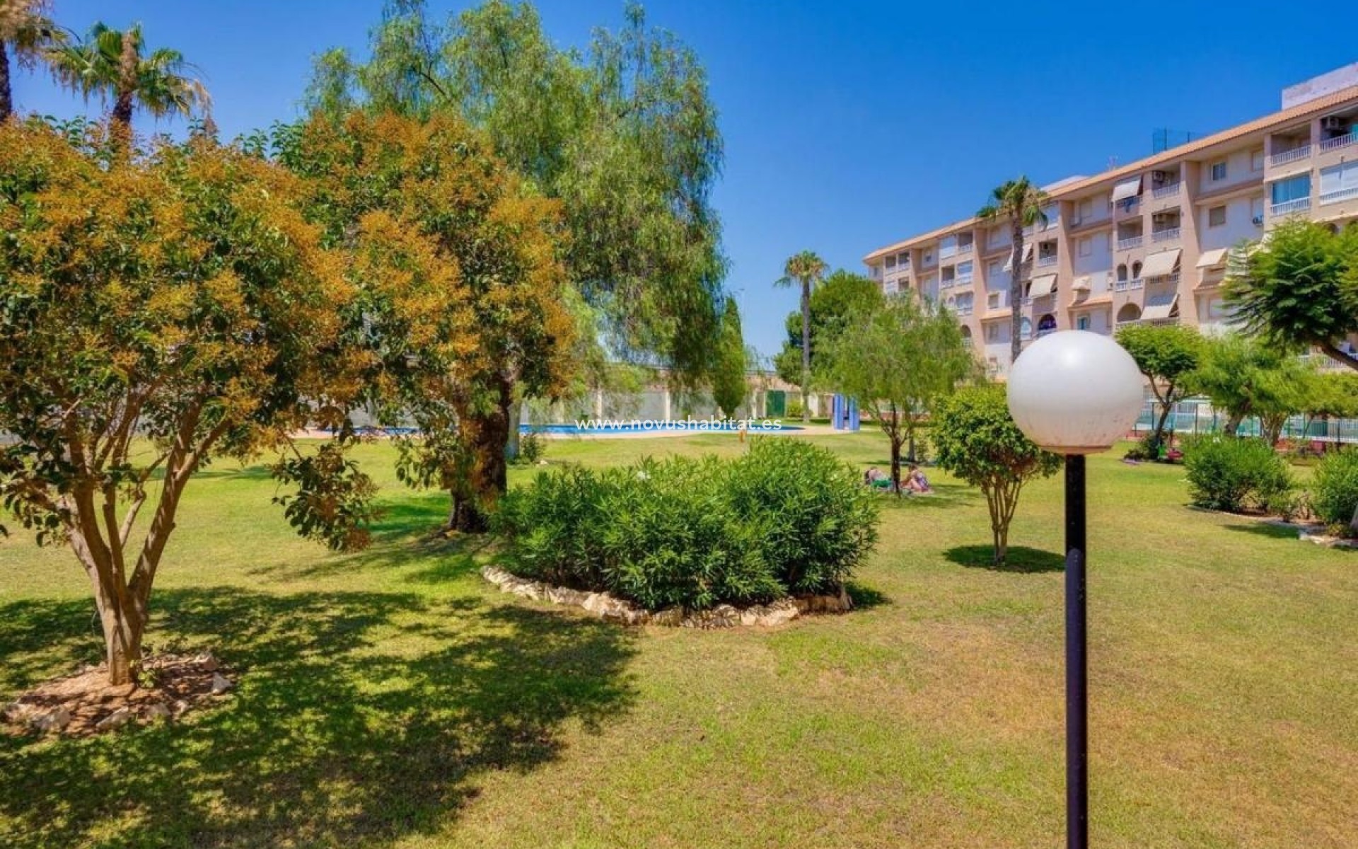 Nieuwbouw - Apartament - Torrevieja