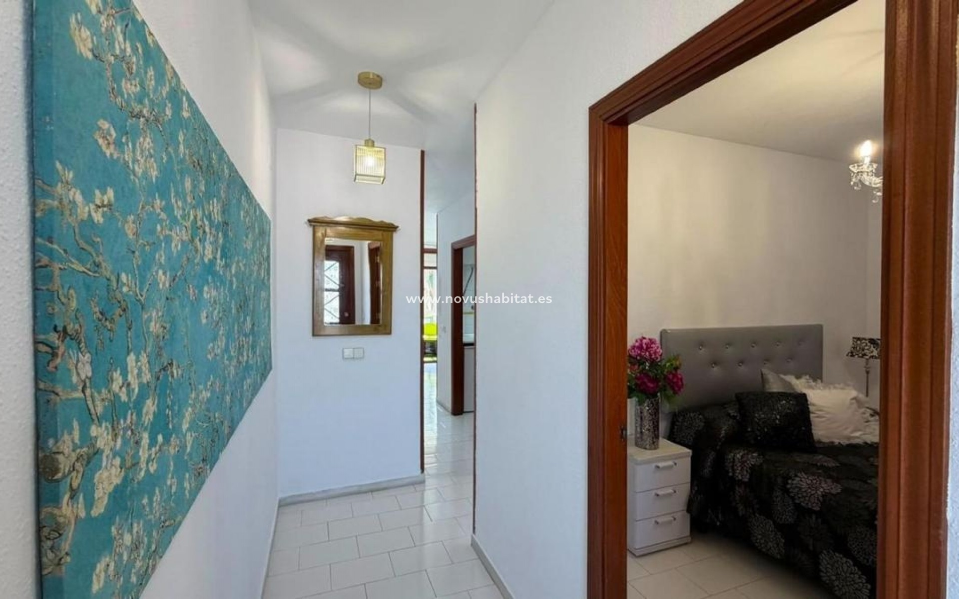 Nieuwbouw - Apartament - Torrevieja