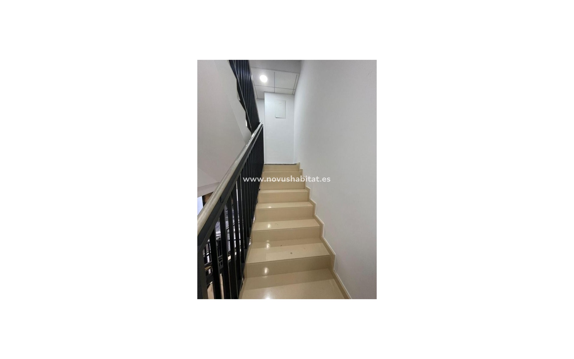 Nieuwbouw - Apartament - Torrevieja