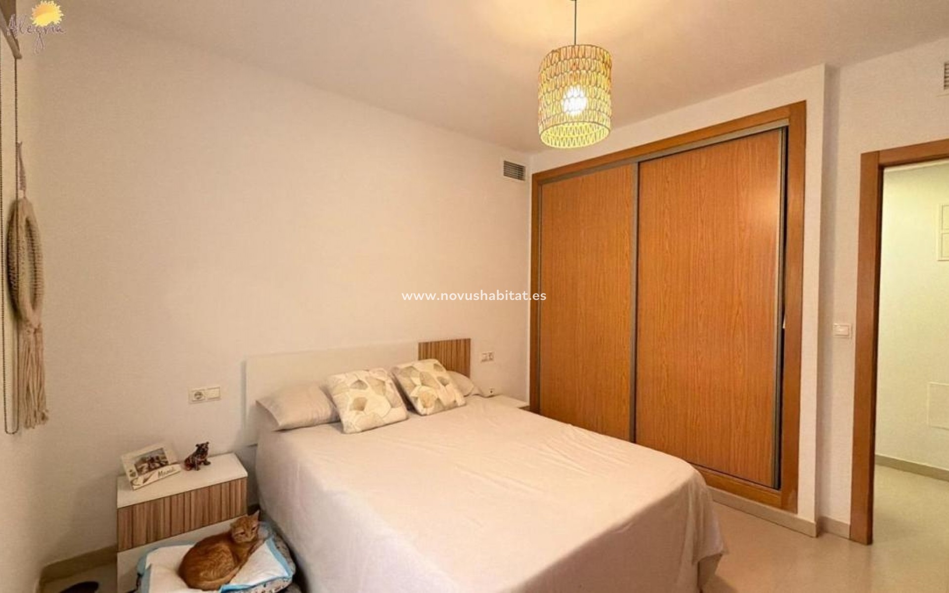 Nieuwbouw - Apartament - Torrevieja